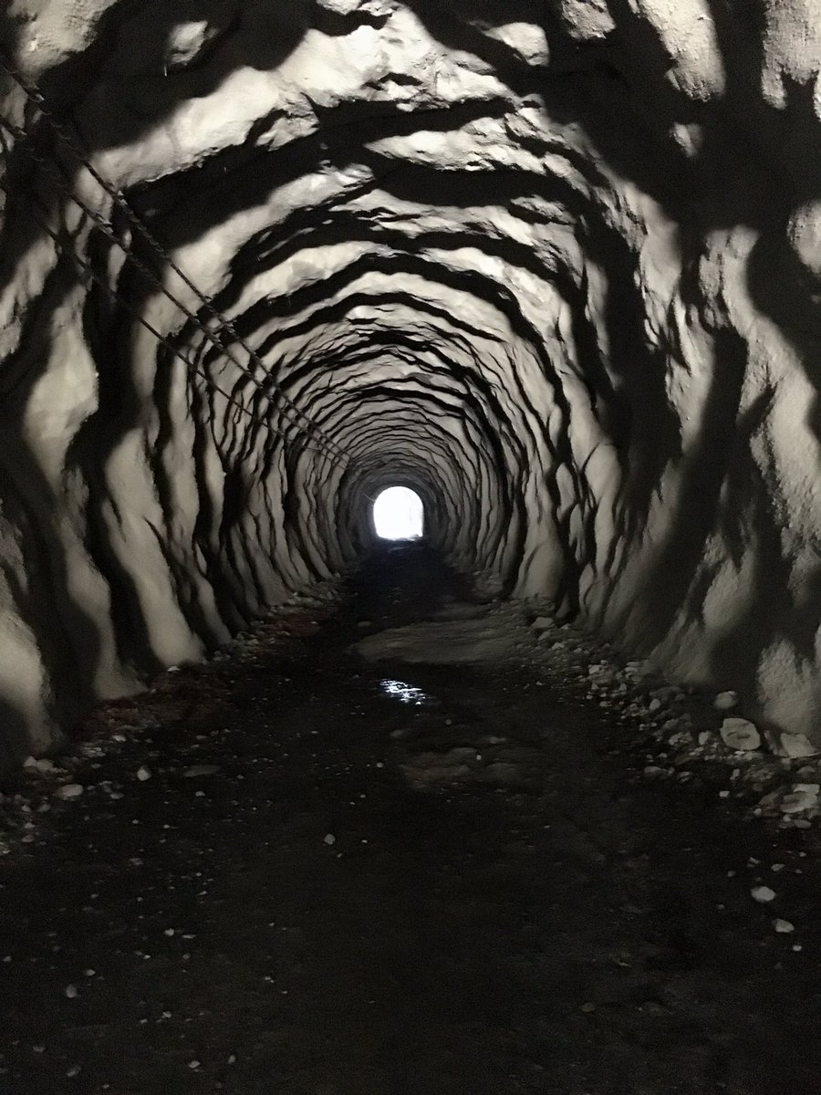 内視鏡で覗いた様な不思議なトンネルだった。