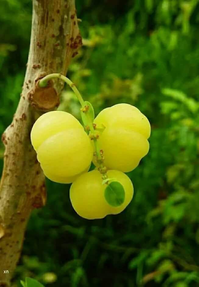 C9nKeR0XUAAZsd_.jpg:large