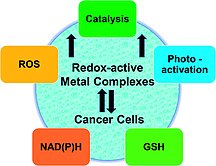 ChemEurope's tweet image. #openaccess #Essay on Redox-Active #MetalComplexes for #Anticancer Therapy on the Special Issue of @EurJIC
buff.ly/2pgdxIx