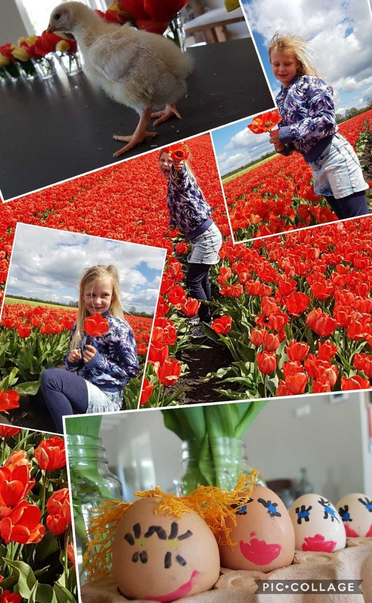 Net ff met Lotte Pasen compleet gemaakt! #verliefdopbloemen #verliefdopbeestjes