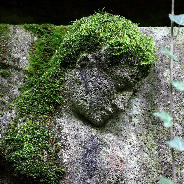 GarconsOfficiel's tweet photo. Mousse capillaire @Maurane @PascaleClark @annielemoine @veroniquegenest @courauclotilde @DamidotValerie @vnataf @lnzelany @Nielsschneider2 https://t.co/5mt4sReKRw
