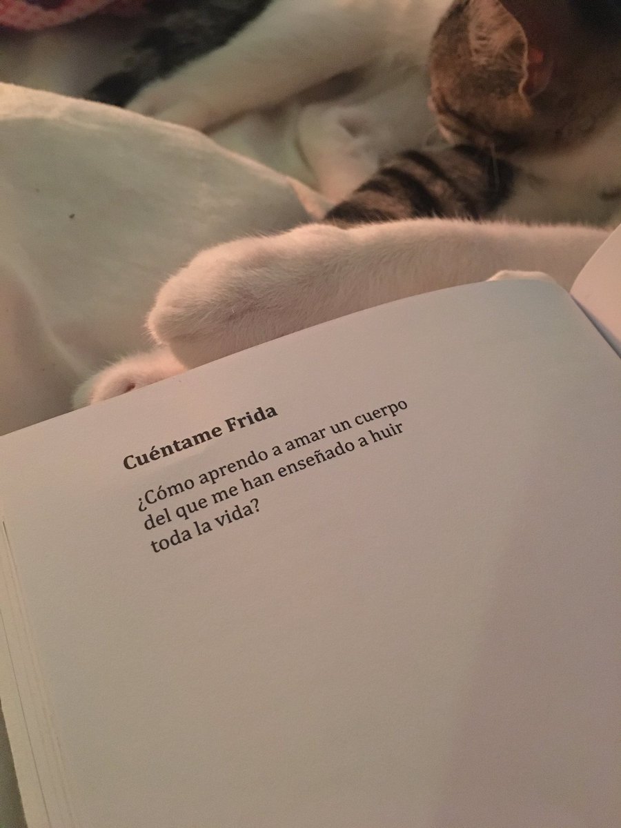 ᵃᵇʸ ★ tweet media