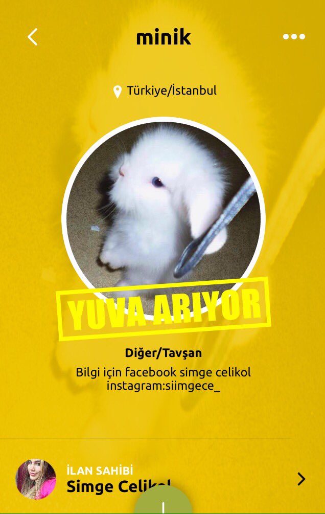 Tavsanımı sahiplenmek isteyen yazsın.