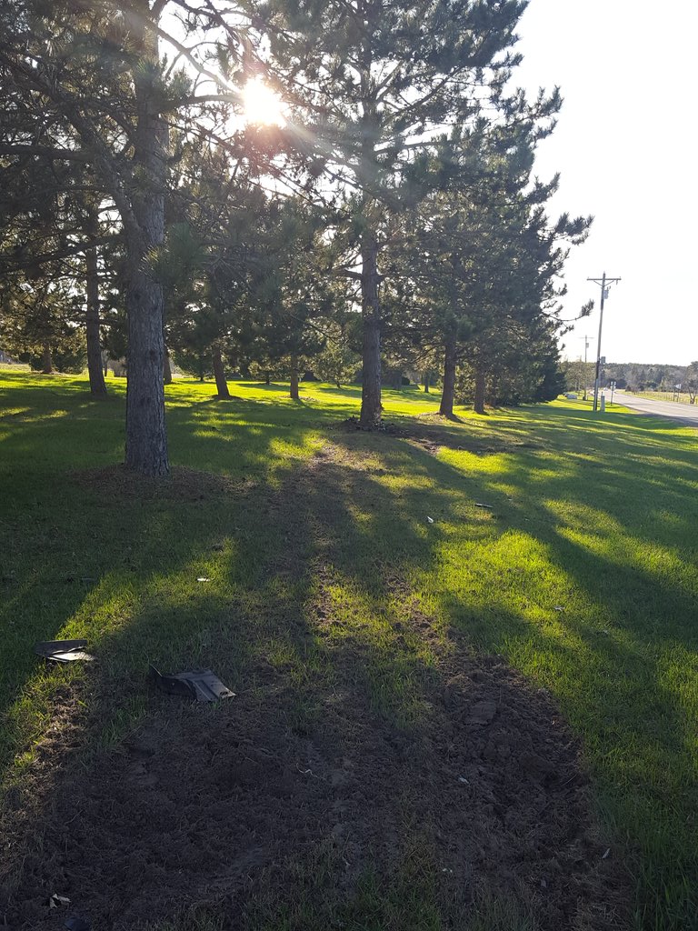 TrueHawkHead's tweet image. I had a sand dollar for Chris Hawkey that I got from SC that I was giving him, but I hit a tree going 55-60 Sat nite, now it's just sand