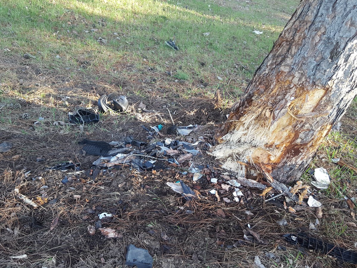 TrueHawkHead's tweet image. I had a sand dollar for Chris Hawkey that I got from SC that I was giving him, but I hit a tree going 55-60 Sat nite, now it's just sand