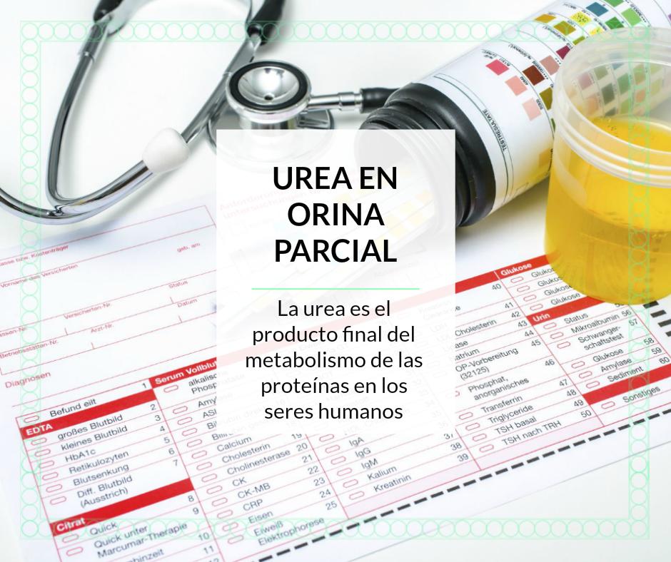 ididca's tweet photo. ¡Ya abrimos! Te esperamos en la Torre 3M de El Rosal en nuestro horario de siempre #Caracas #Venezuela #Laboratorio #Salud https://t.co/mgCPJi8hzq