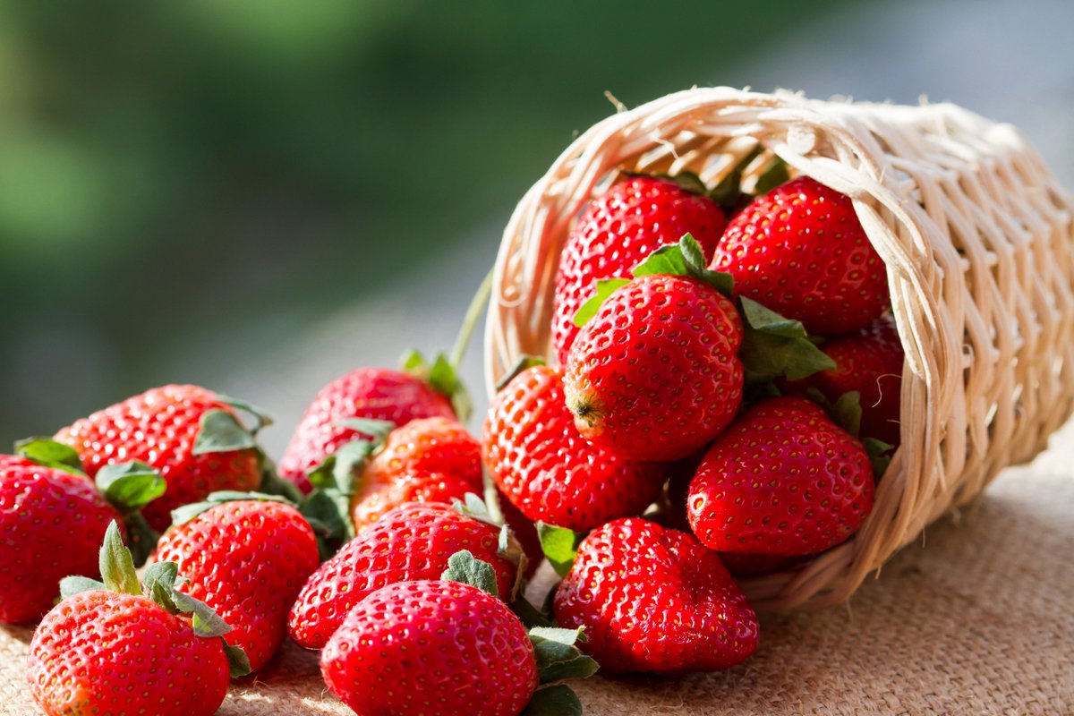 VeggieToGoApp's tweet photo. 🍍April Fruit : This month announces #Strawberry come back !  Full of #antioxidants and vitamin C ! Important : eat organic ones ! #EDHECsmm https://t.co/qOdD34GMNp