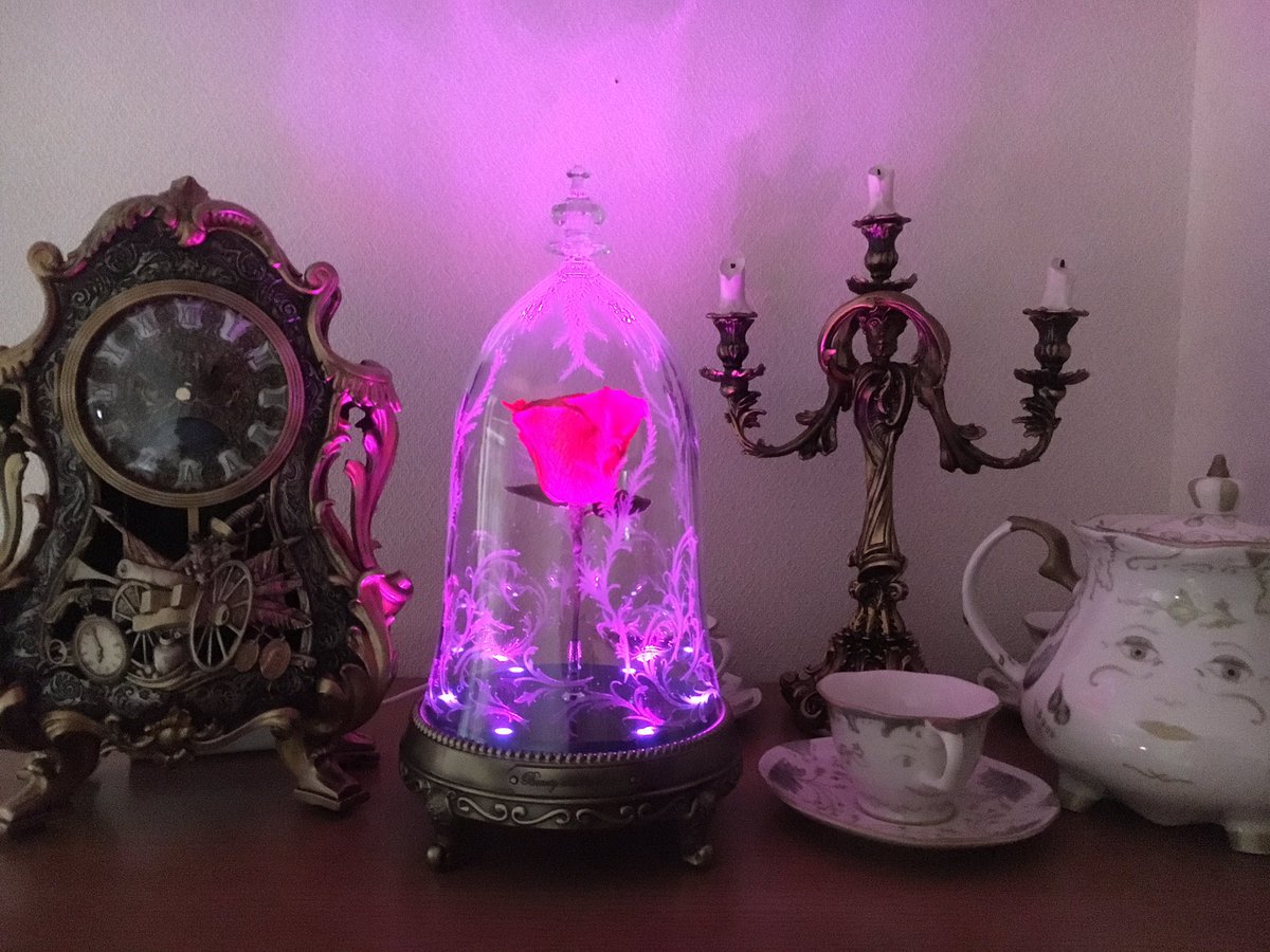 りきと 7 3ガイシホール 美女と野獣いよいよ今週公開か 実写の方はリアルすぎて微妙だったけど 見ればみるほどアニメに負けないくらいかわいい 写真はうちの美女と野獣エリア 美女と野獣 ディズニーストア Beautyandthebeast ルミエール