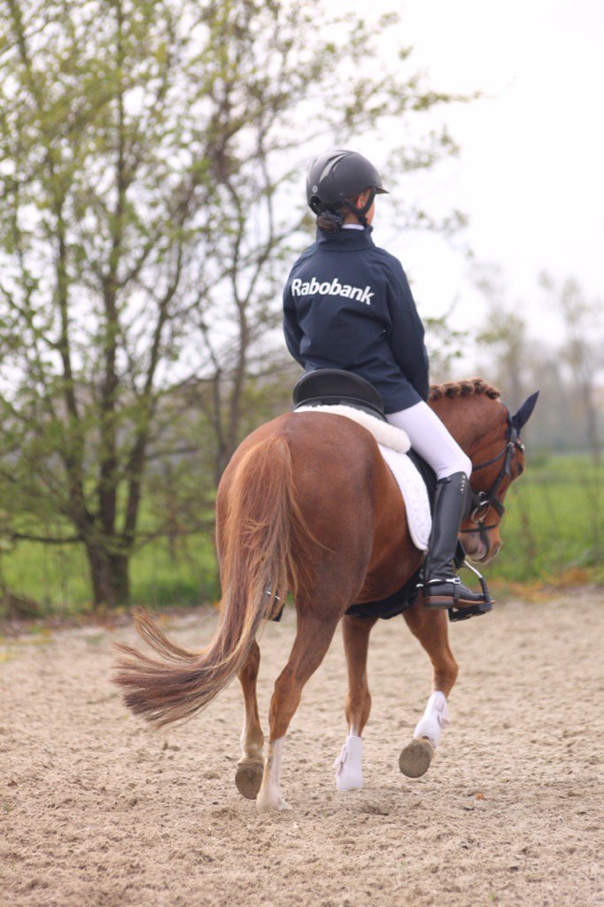 DTCavaliere's tweet photo. Gisteren in Ameide haar debuut in M1. De eerste twee winstpunten alweer te pakken. Op naar de volgende. Succes Ilse! https://t.co/pRVfANgUNq