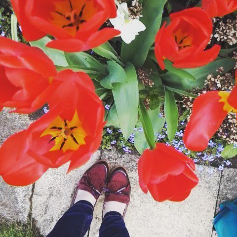 charlottesteggz's tweet photo. Red flowers, maroon shoes at Grandma's house. 
#Ipswich #easter #officeshoes #tulips #ebay #loafers #potd #naturev… https://t.co/gqP66DGfWz https://t.co/h0yrBjUwCZ