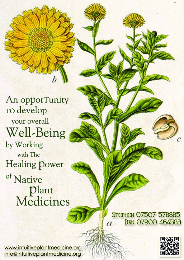 Stephen Watts (@maxsalad) on Twitter photo intuitiveplantmedicine.org - course retreats focused on intuitive plant medicine. run by stephen watts and dan collins <a href="/CoedHills/">Coed Hills</a> -June and sep intuitiveplantmedicine.org - course retreats focused on intuitive plant medicine. run by stephen watts and dan collins <a href="/CoedHills/">Coed Hills</a> -June and sep