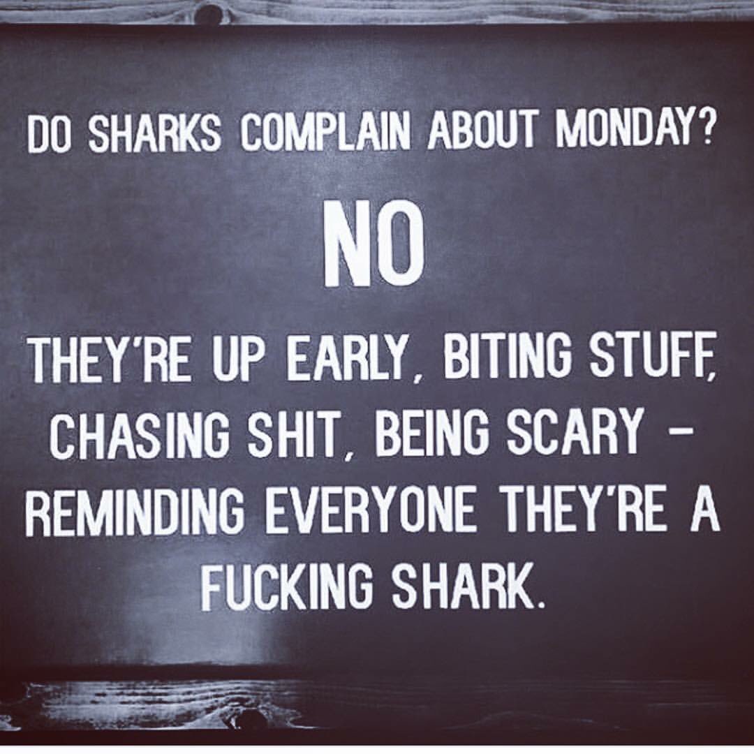 Be a shark today!!
