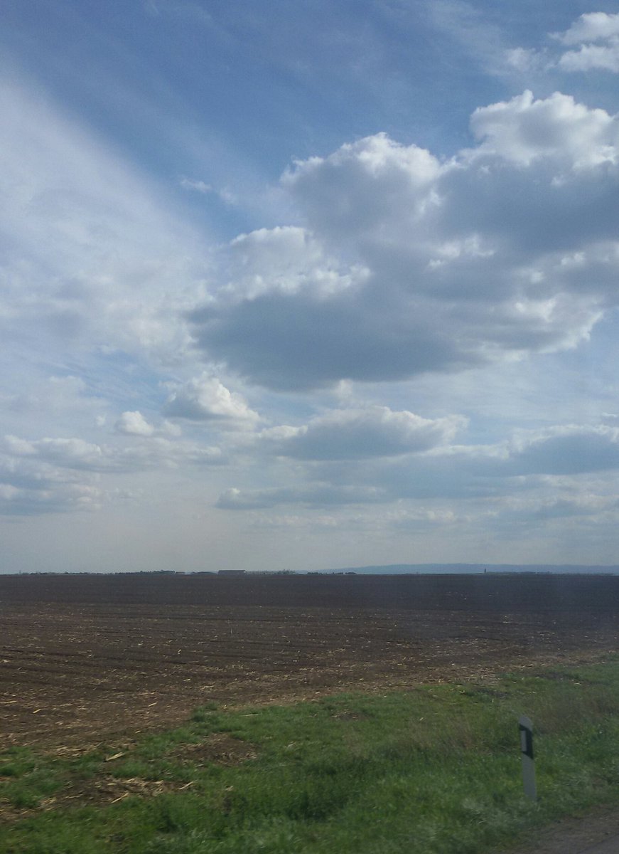 benj0c's tweet image. Vojvodjanski atar