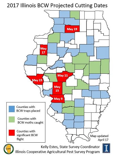 Busy #blackcutworm weekend w/ significant moth flights
Macoupin, Madison, and Warren counties