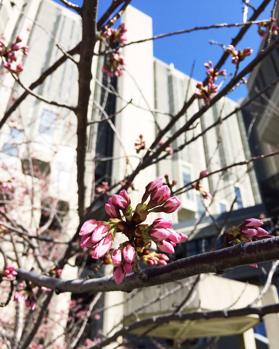 uoftlibraries tweet picture