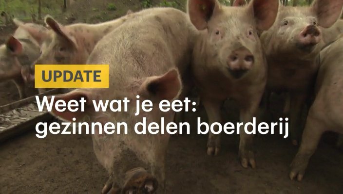 RTLnieuws's tweet photo. Video - Nooit meer naar de supermarkt. In Boxtel zijn 120 gezinnen samen eigenaar van een boerderij. https://t.co/BzcM0v8hmN https://t.co/nyW7Y6vVr6