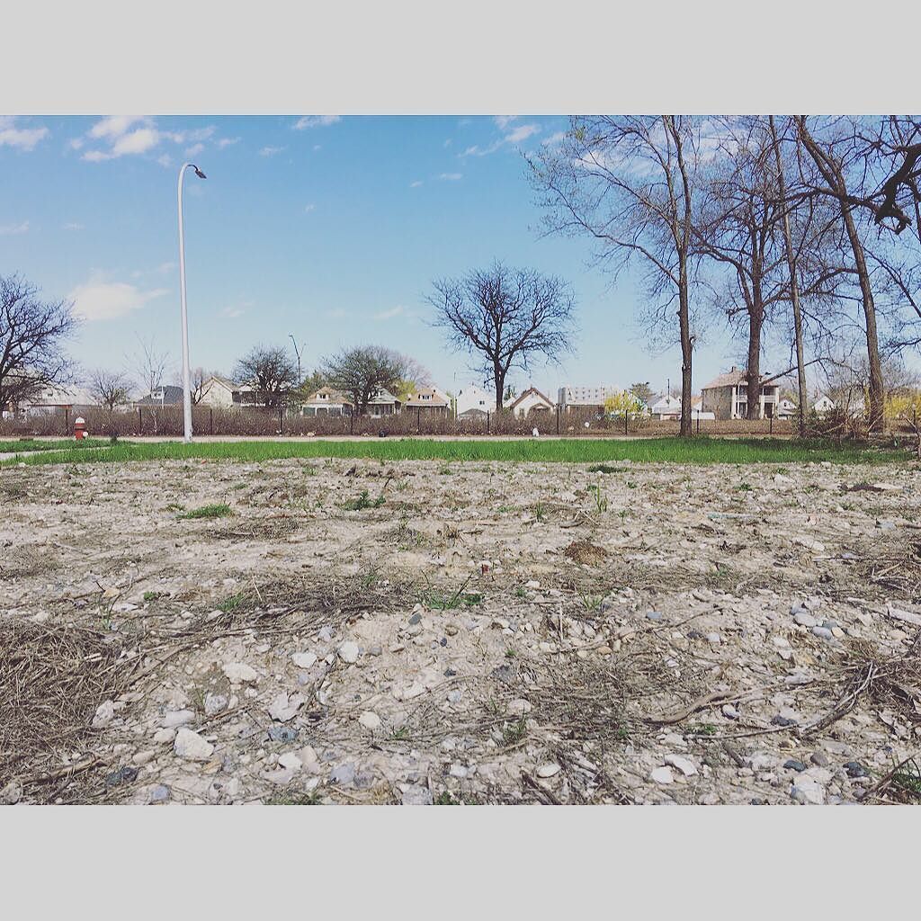 thisflowerhouse's tweet photo. when #flowerhousedetroit becomes #flowerhousefarm https://t.co/0NzEMUTwfF https://t.co/7WTQNWJMEh