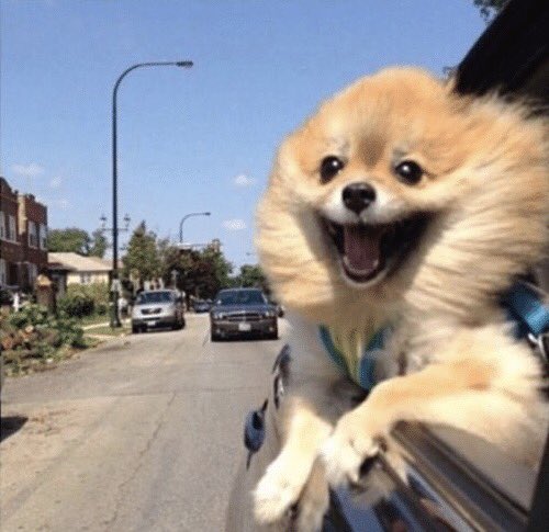 Me on my way to #DockerCon