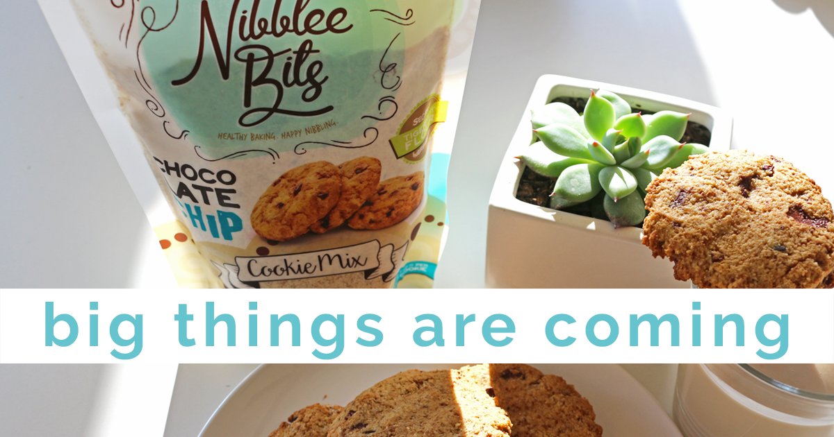 nibbleebits's tweet photo. We can't believe we've nibbled for almost a year! To celebrate, we're planning a big thank you to our nibblers. Stay tuned for more info. https://t.co/cVbCzaqYyj