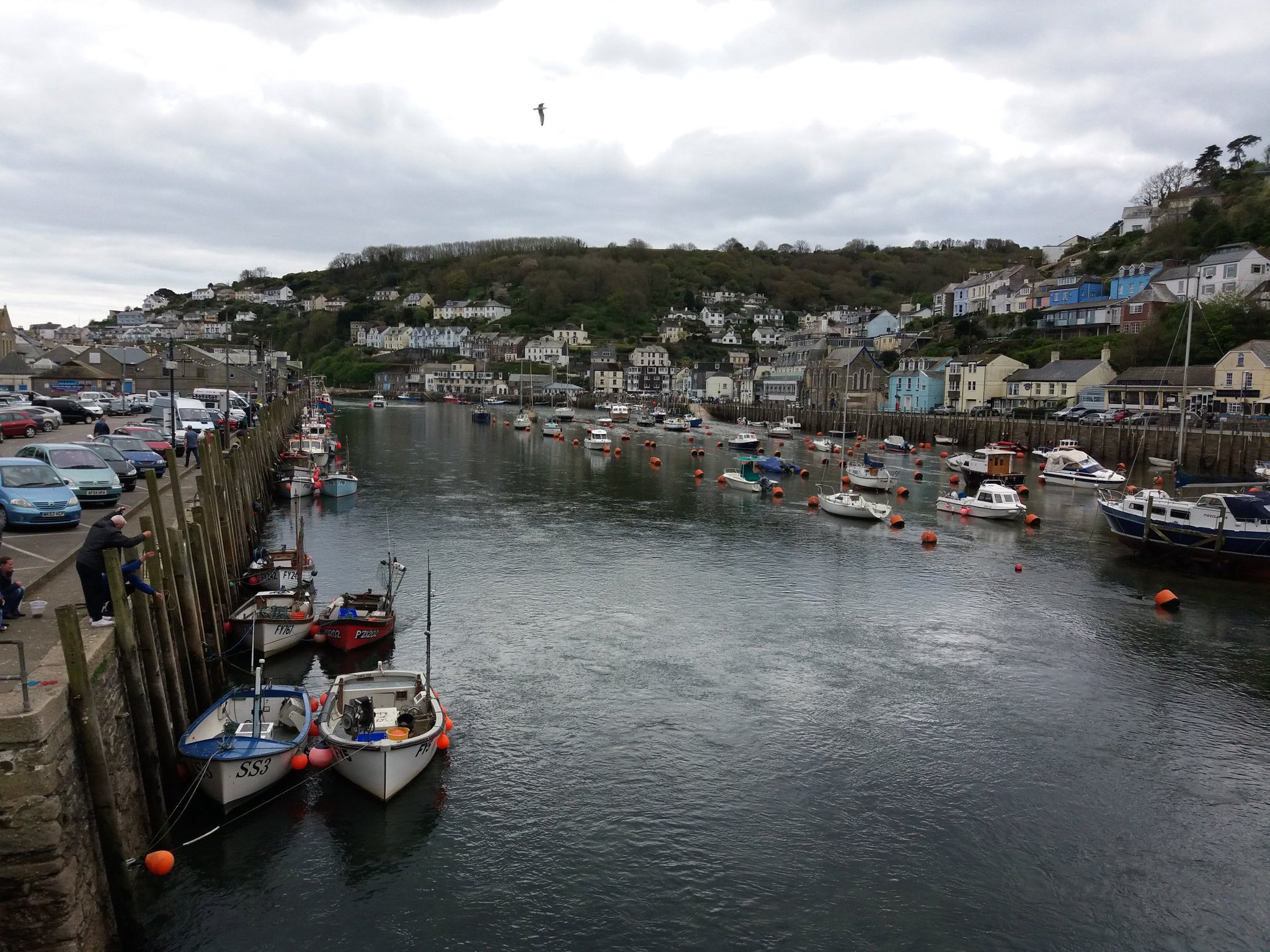 Picturesque Looe