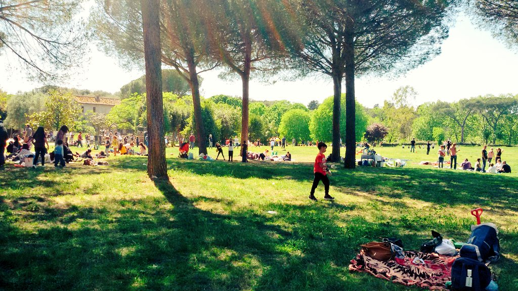 ildiariodiClio's tweet photo. @ildiariodimaia macchè pisolino. Meglio sbizzarirsi #tuttavita #clio https://t.co/nbBFXEzTrM