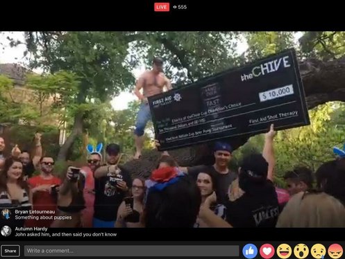 firstaidshot's tweet photo. @CFChive @ChiveFTL Nice work, Chive Florida!! You guys are amazing! #ChiveCup @theCHIVE https://t.co/8WWEogdEGM