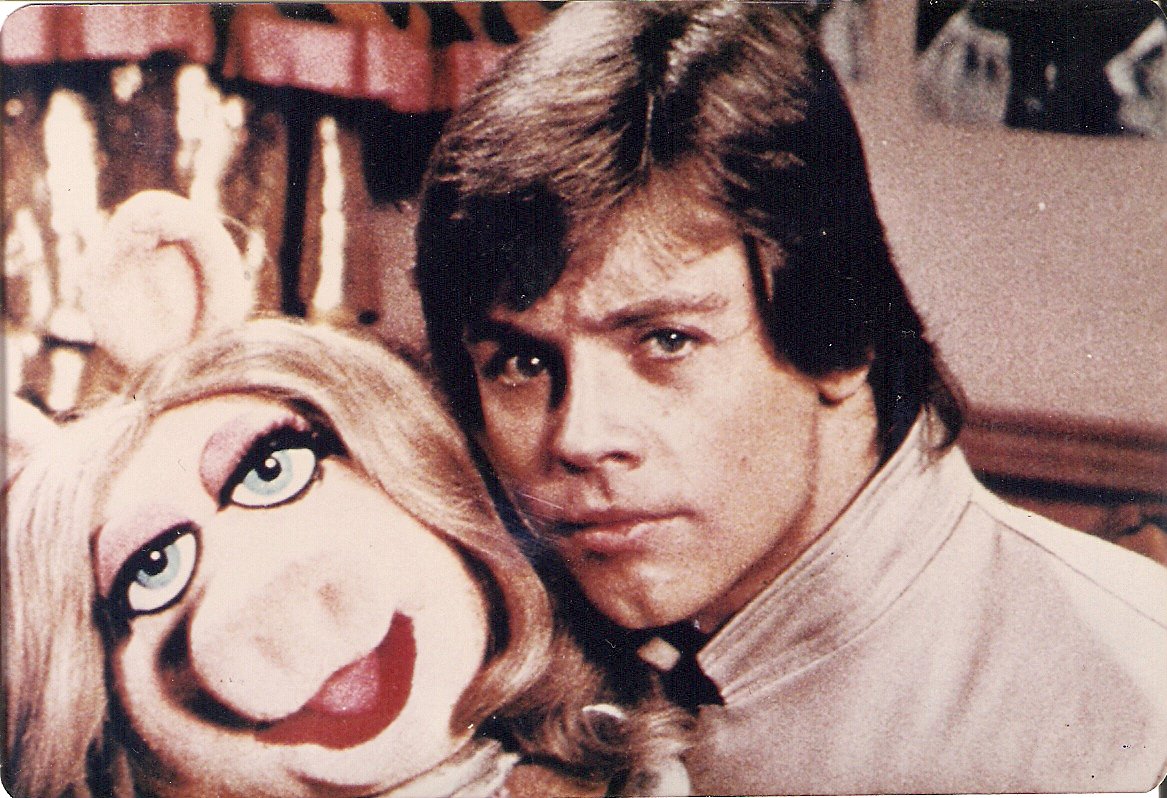 #MarkMonday
 
Re-posting of Scans of @HamillHimself from real vintage photographs from <a href="/treenahasthaal/">Treena 🏴󠁧󠁢󠁳󠁣󠁴󠁿🏳️‍⚧️🏳️‍🌈</a> 's 40 year long collection. 😃
