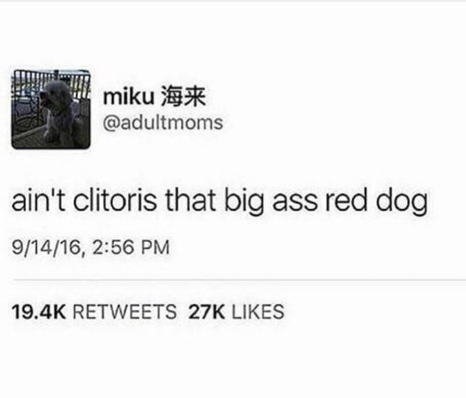 The reason we need porn. https://t.co/F1dpPpXO5q