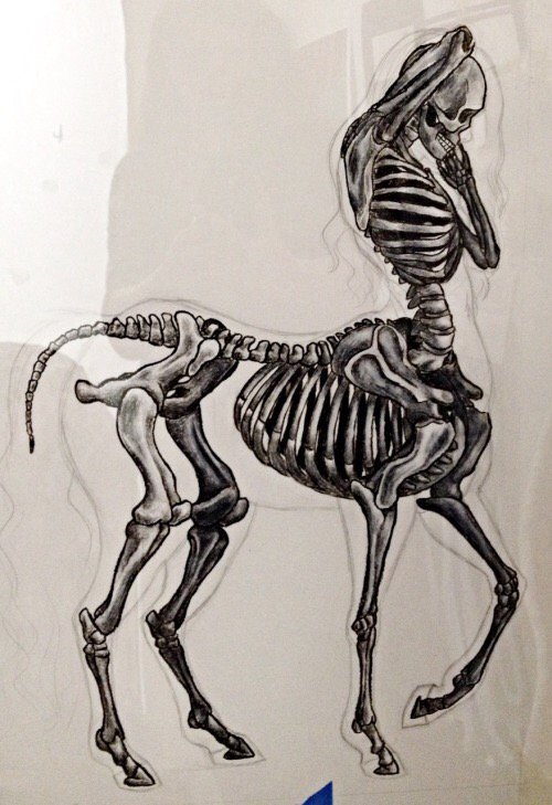 MrCentaur (@mrcentaur) on Twitter photo 