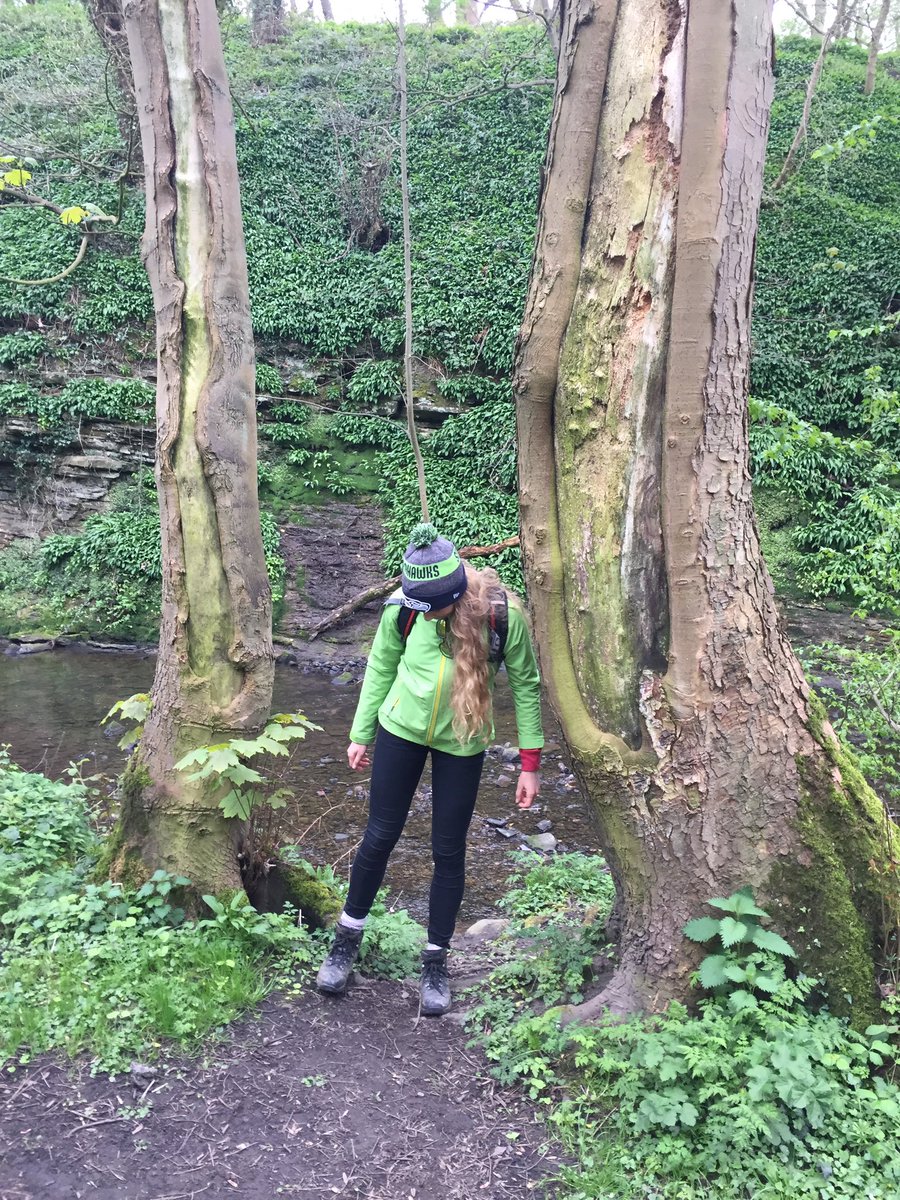 GridironStrong's tweet image. Explored Holywell Dene this morning for Richards recovery walk #PostGameRecovery 🏈