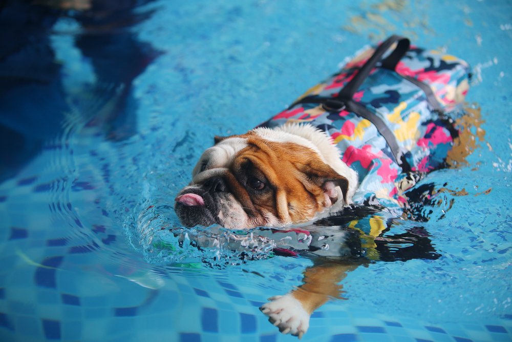 Stay afloat. #Mondays