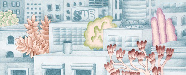 On the trail of New York City's 60 greatest trees with <a href="/AllisonCMeier/">Allison C. Meier</a> trib.al/BxgcudN #CLSecrets (Illustration by <a href="/blobby_baby/">Leesh Adamerovich</a>)