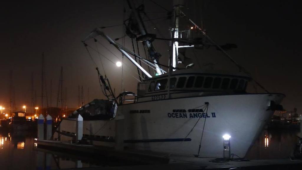 JuneauTek's tweet photo. Harbor Moonlight Spring 2016 #commercialfishing #squid #nitetimeistherighttime https://t.co/kwDmZotuZz https://t.co/ZTVBcQyR1S