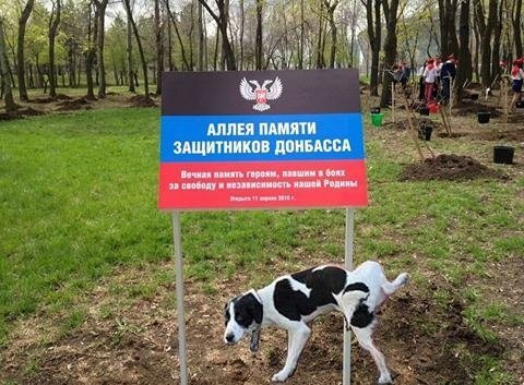 Боевики продолжают нарушать перемирие, обстреливая населенные пункты, - украинская сторона СЦКК - Цензор.НЕТ 4458