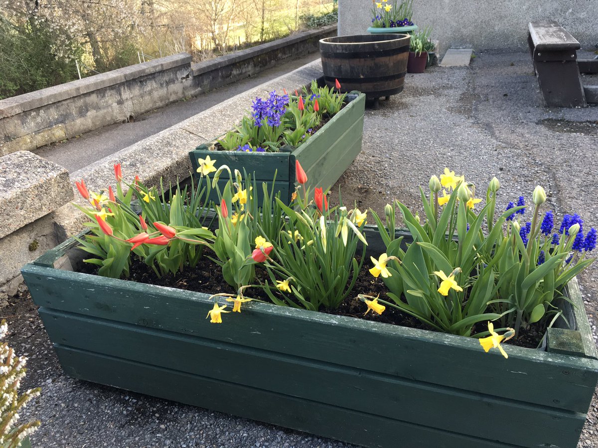 Inveravon Primary tweet media