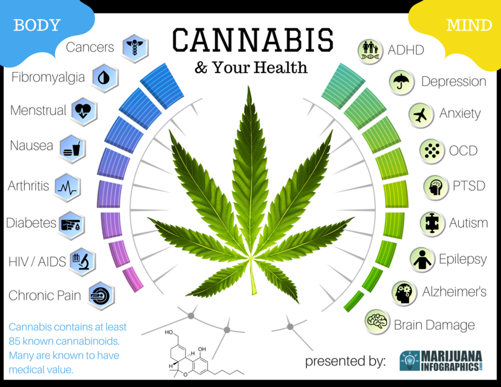 MrEugeneMonroe's tweet photo. #cannabis4pain #cannabis4brain https://t.co/QMDXcv1aAK