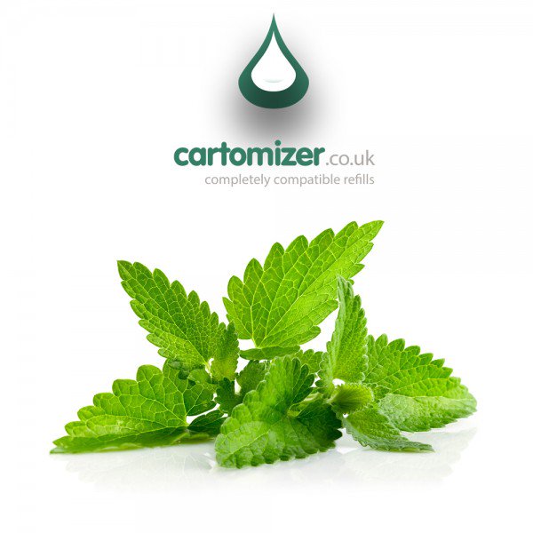 CartomizerUK's tweet photo. Fresh mint taste makes for a great vape, all day long! Shop now to order yours. #ejuice #eliquid #vapecheap https://t.co/sf0tsai6Ed https://t.co/keB2nEgyu3