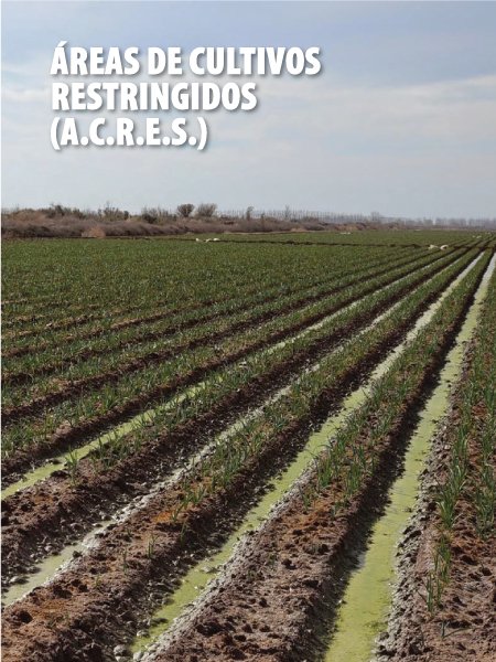 IrrigacionMza's tweet photo. ¿De qué se trata el proceso de la planta depuradora de #Paramillos #ACRE de #Lavalle? Conocelo aquí: https://t.co/SApQBmcyJ5 https://t.co/SoERqHhYcy