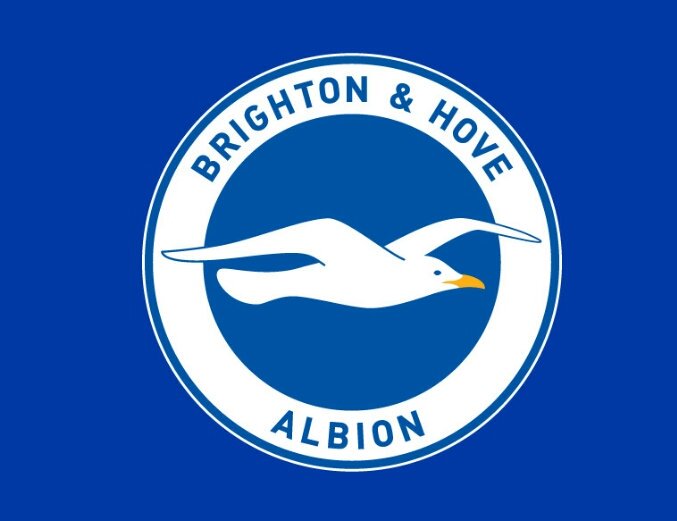 #PremierLeague C'est officiel, Brighton est promu en Premier League !