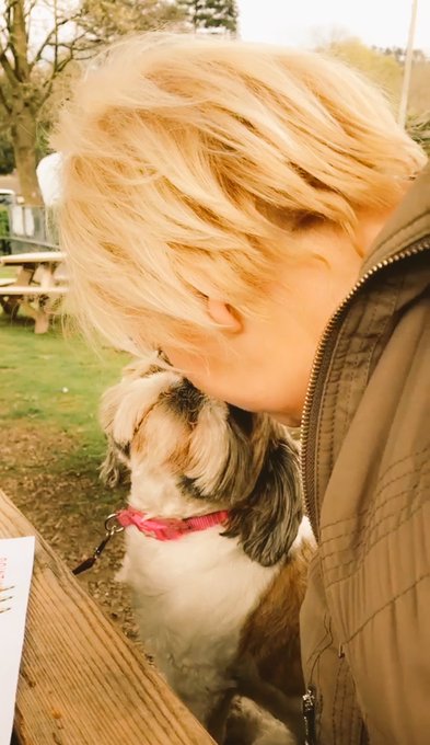 View image on Twitter