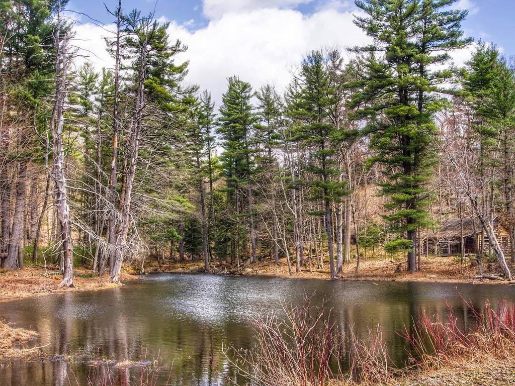KimberlyPsychic's tweet photo. If you see a random backroad in the middle of no where, take it!!! 😊😊😎 #newyorkonly #nature_porn #country_features… https://t.co/227Hya3rYv https://t.co/xrLXbrjDsQ