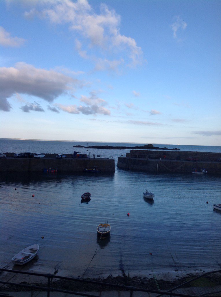 Janice Little tweet media