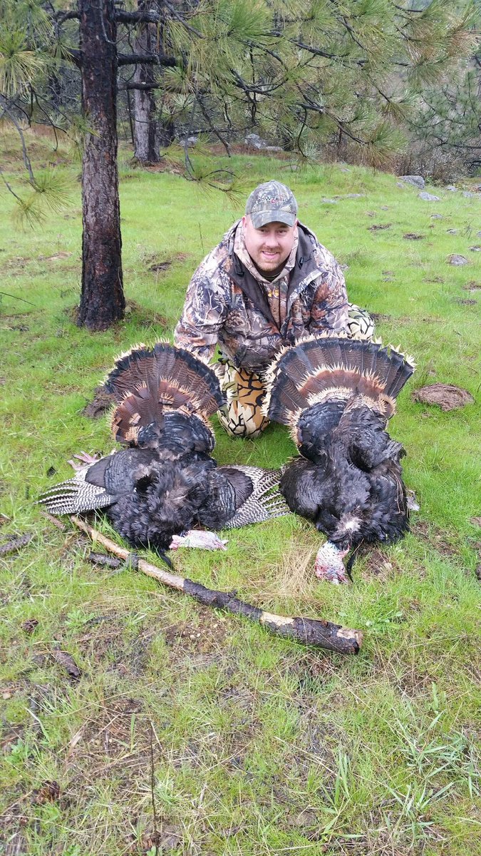 wallylair's tweet photo. Had to put down the #bowtech and grab the #beneli and got it done this wet morning in Spokane https://t.co/gNbMh2m1ye