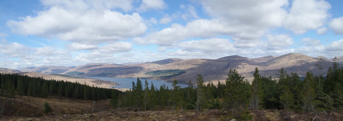 glenloywild's tweet photo. The view from the top. Walked through #Arkaigforest to the top fence. #Woodlandtrust #pinewoods #locharkaig https://t.co/QqSp75SLjk