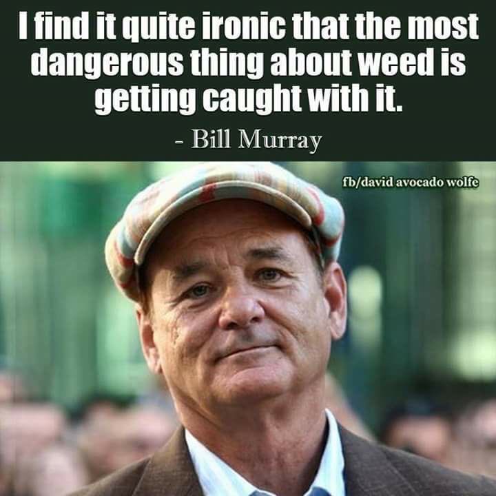 Dea Hq Tons California Massachusetts Marijuana Op Dismantled Leaders Plead Guilty 1 3 Metric Tons Mj 6mm Laundered T Co Mqjdffpprw T Co 3jvxslocwc