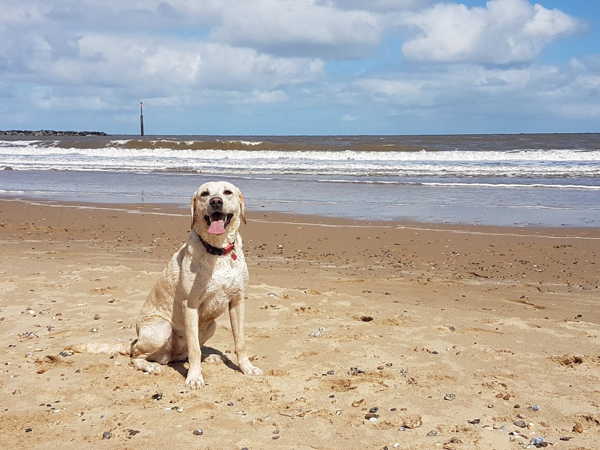 Liserrthelover's tweet photo. Bank holidays at the beach. ♡ https://t.co/0Y0RGtQA2x