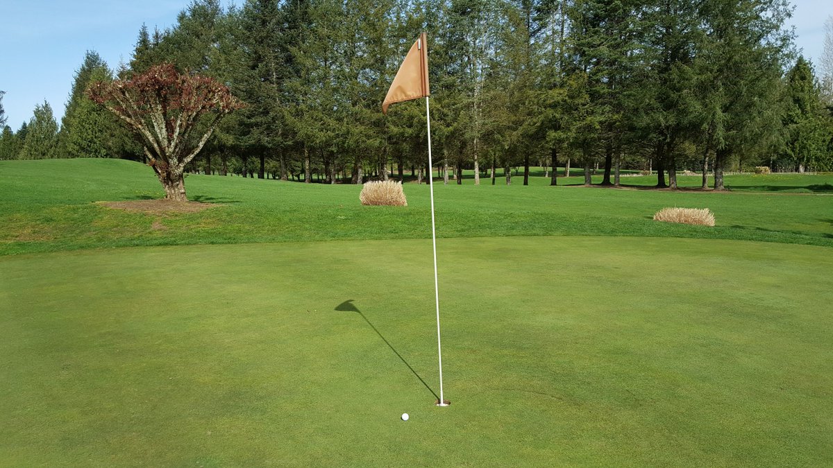 Waazzupppp's tweet photo. @WilsonGolf It's only fair to show where this shot ended up - 59 yards out, 3/4 LW, to 12" - https://t.co/gp1qbFpg7t #money #PMPWedges https://t.co/RpdKlqGCcE