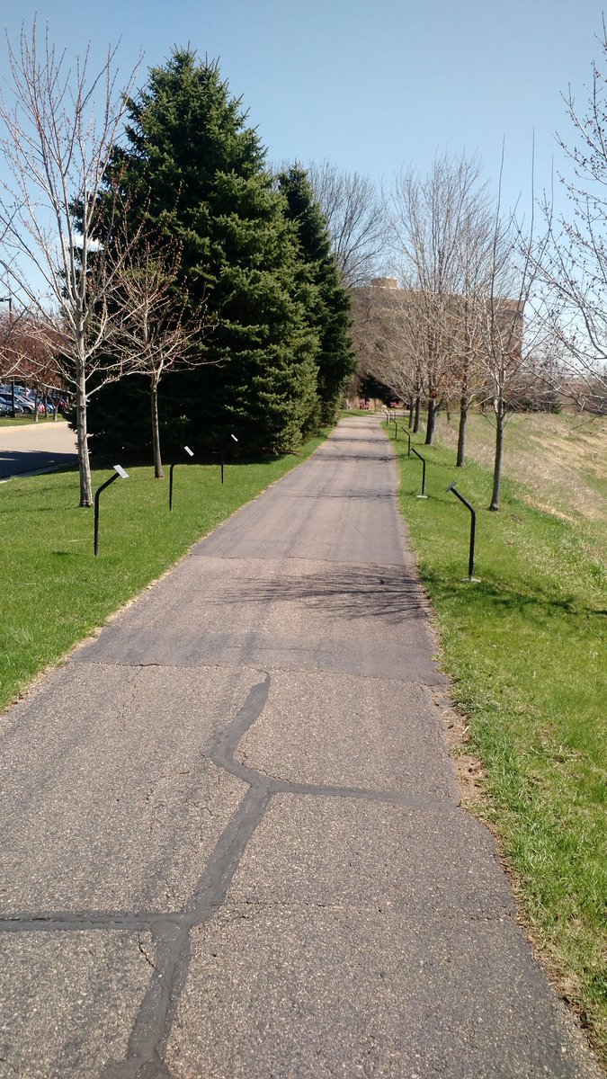lambchopmsc's tweet image. Thank you overlords for providing a bike path for me when I&apos;m at work! #30DaysOfBiking