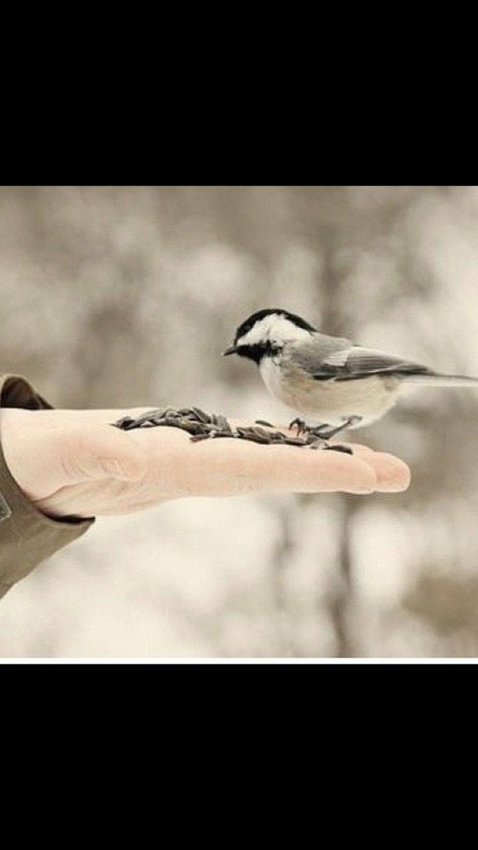 البعض  لاغاب  تتذكر سواليفه
يطري عليك وتبي تعرف وش اخباره
معزته باالحشا ماجت على كيفه
ذوقه  رفيع  ورفع  باالذوق  مقداره