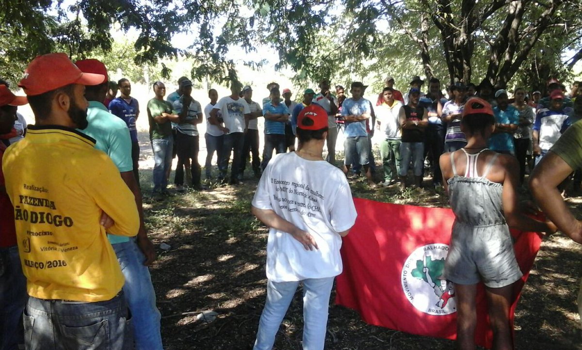 Ver imagem no Twitter